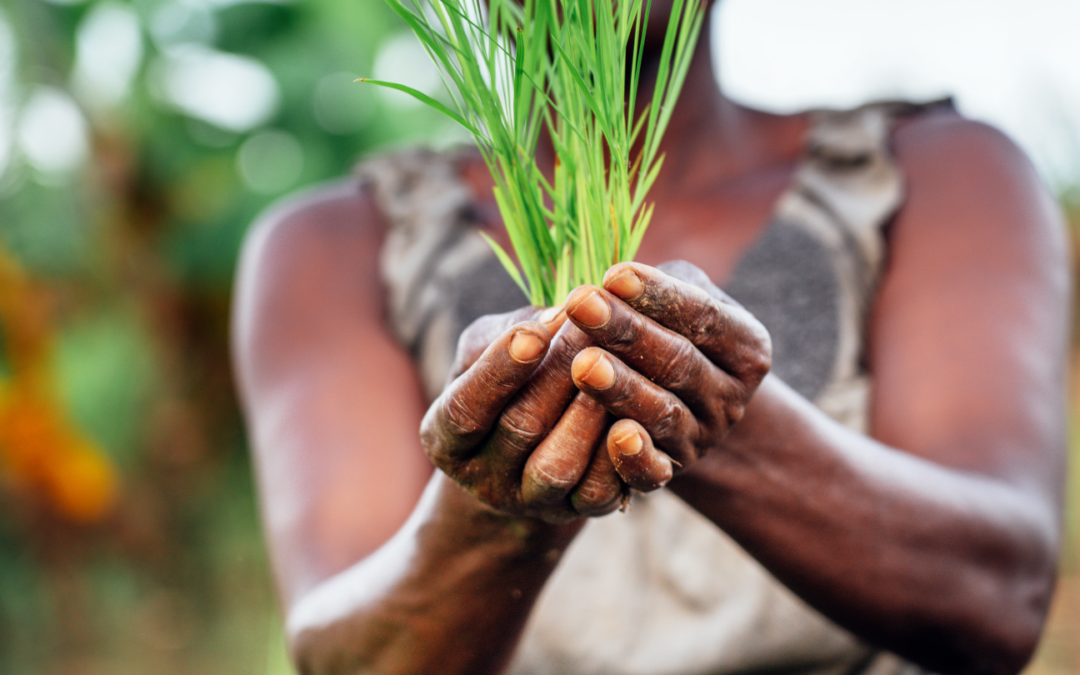8M. De la resistencia a la acción: mujeres por la paz, la igualdad y la justicia