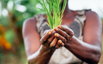 8M. De la resistencia a la acción: mujeres por la paz, la igualdad y la justicia